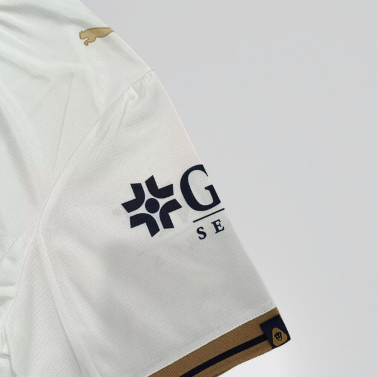 Pumas 2026 Visita - detalle 2