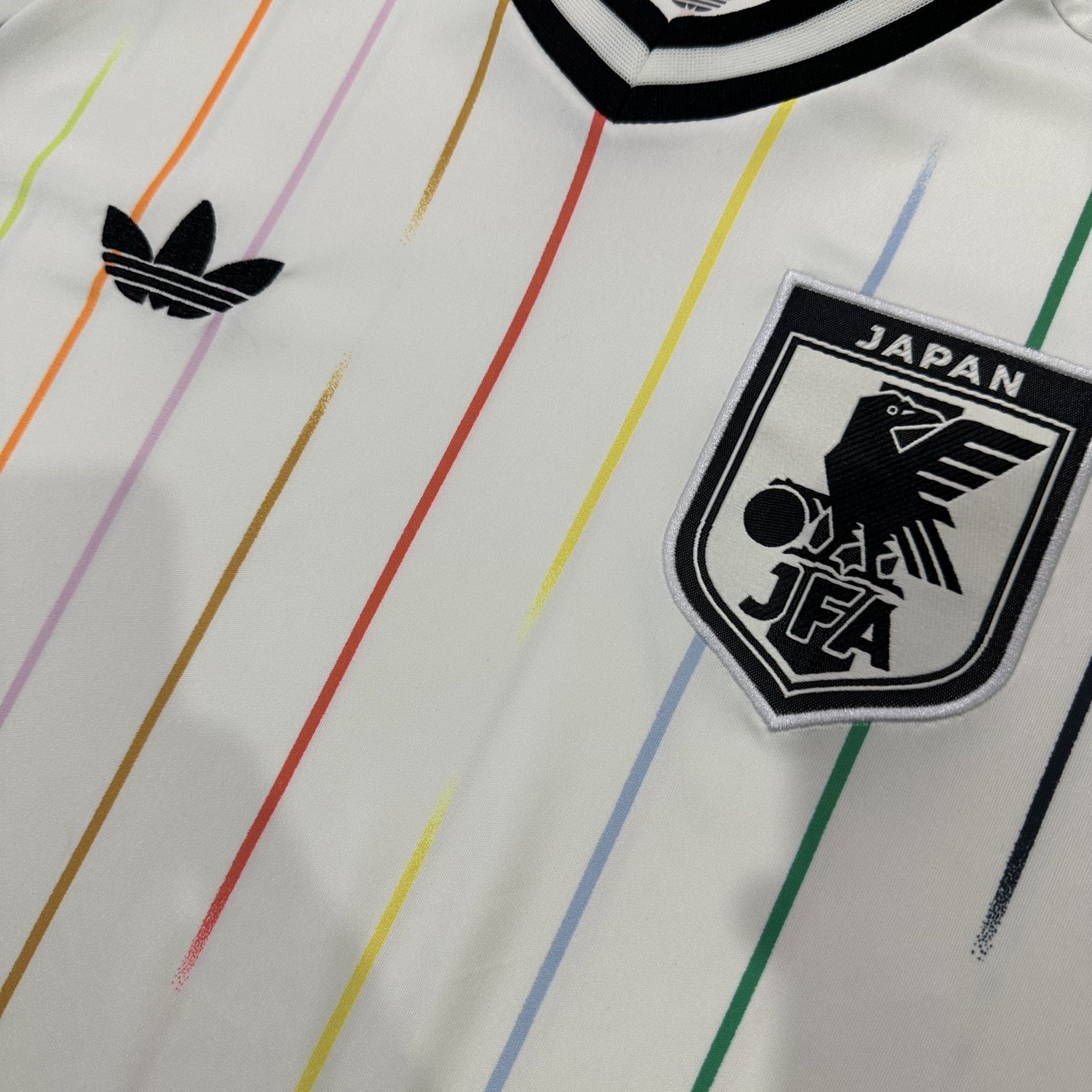 Japón 2026 Visita Edición Aficionado