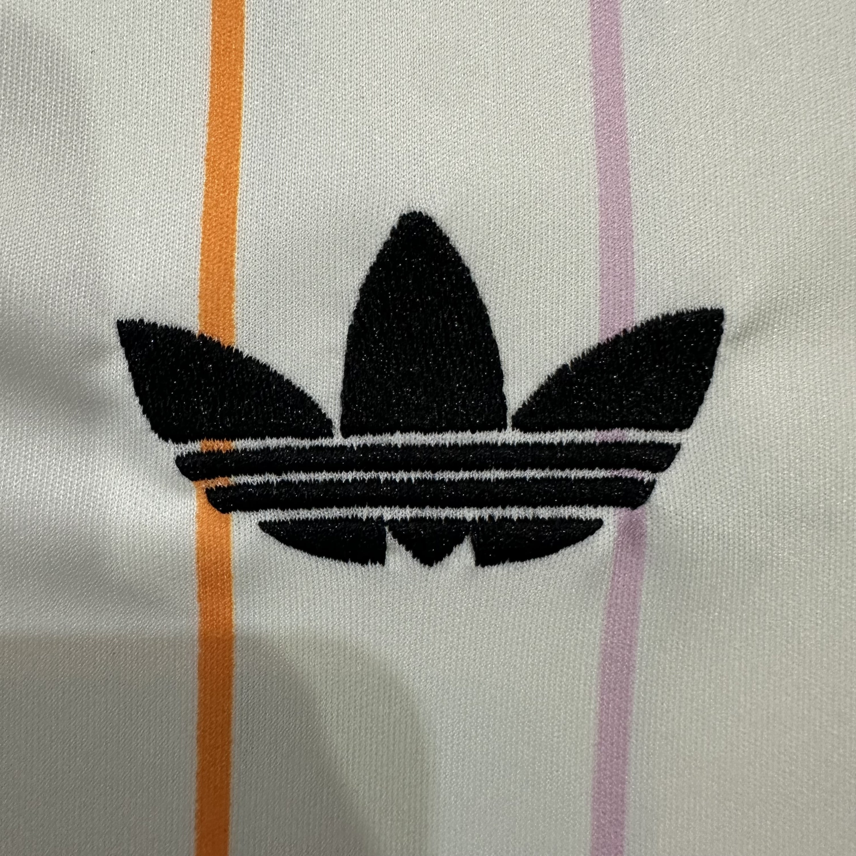 Japón 2026 Visita Edición Aficionado